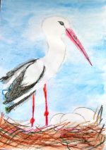 Drietomský Martin.jpg